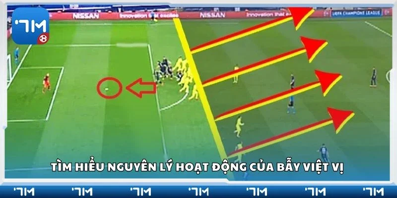 Tìm hiểu nguyên lý hoạt động của bẫy việt vị 