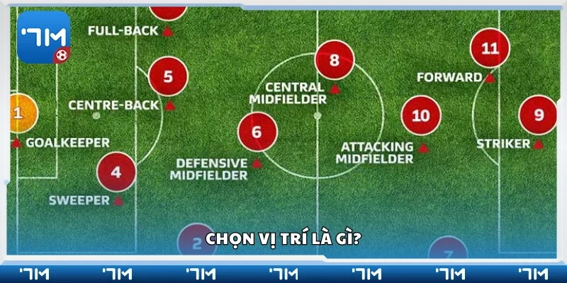 Tìm hiểu về cách chọn trí