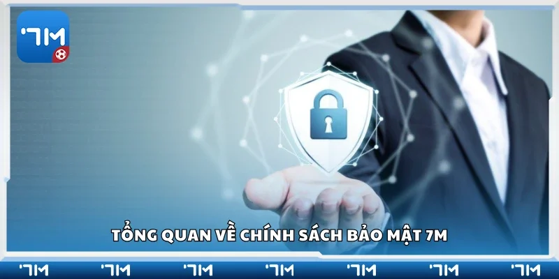 Tổng quan về chính sách bảo mật 7m