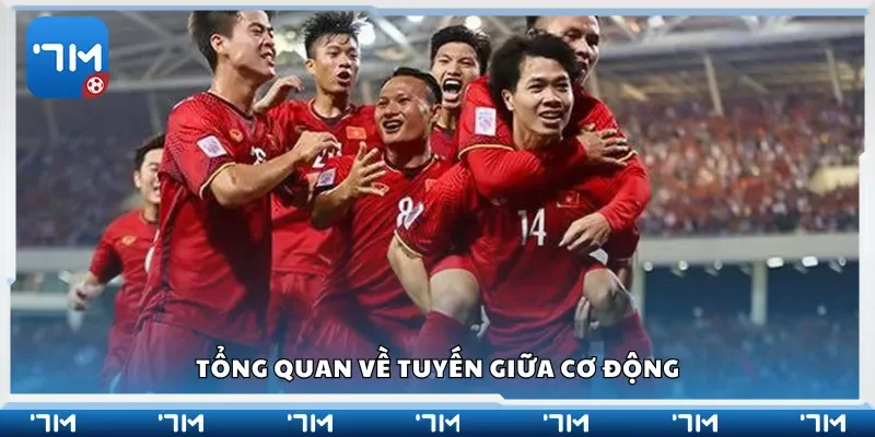 Tổng quan về tuyến giữa cơ động