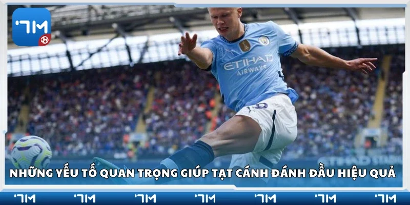 Yếu tố quan trọng giúp tạt cánh đánh đầu hiệu quả