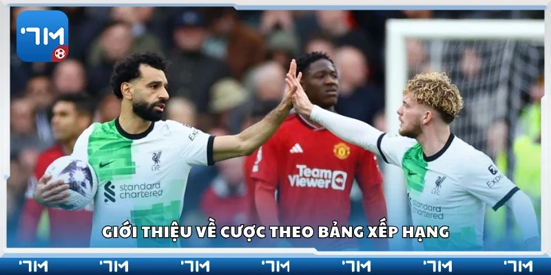 Khái quát về cược theo bảng xếp hạng