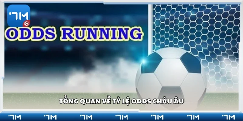 Khái quát về tỷ lệ Odds châu Âu