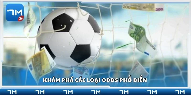 Khám phá các loại odds phổ biến 