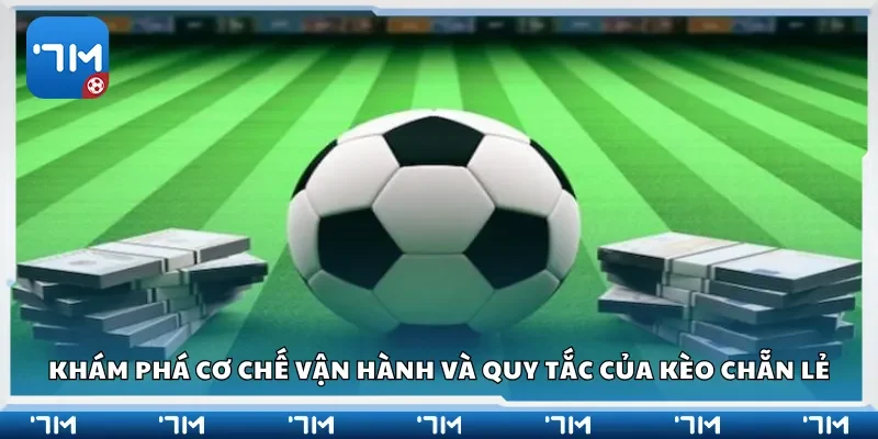 Khám phá cơ chế vận hành và quy tắc của kèo chẵn lẻ