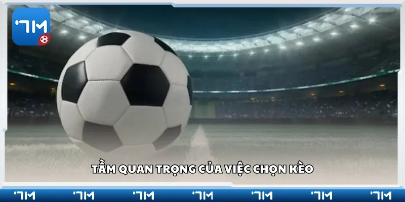 Tầm quan trọng của việc chọn kèo