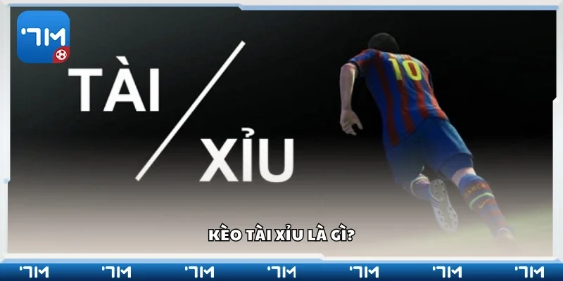 Tìm hiểu về kèo tài xỉu 