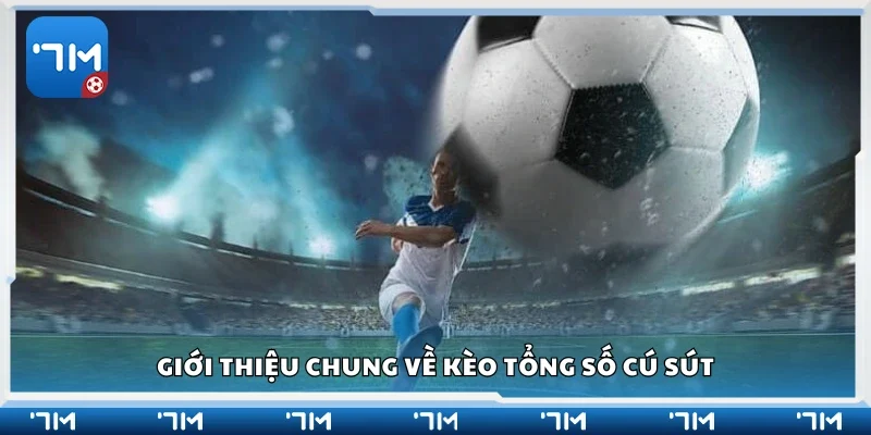 Tổng quan về kèo tổng số cú sút