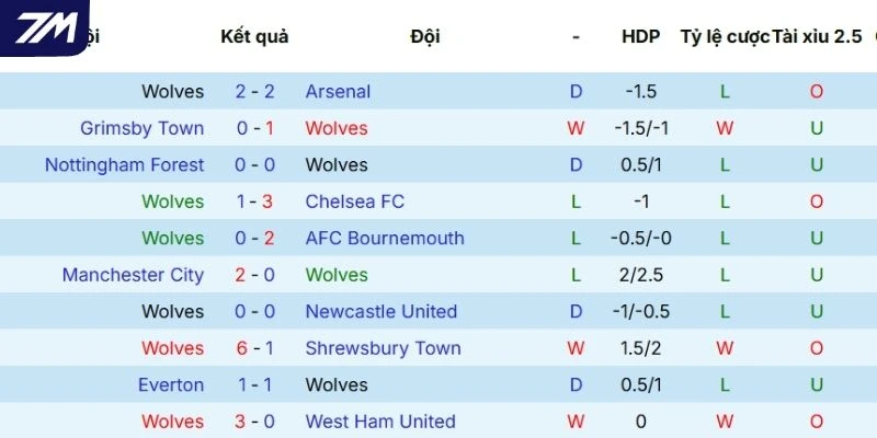 Thành tích của Wolves trên mọi đấu trường