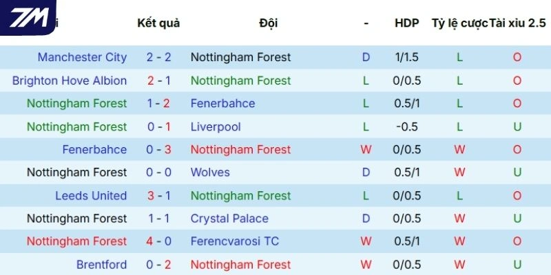 Màn thể hiện mới nhất của Nottingham